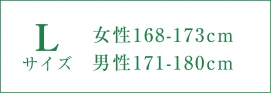 Lサイズ(女性168-173cm)の訪問着